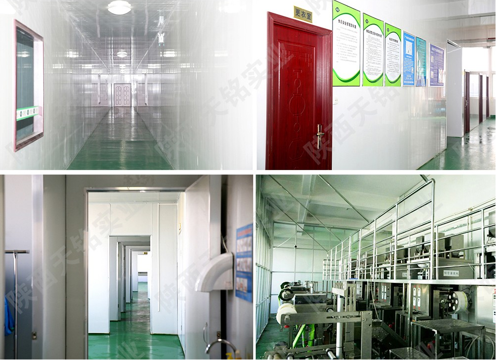 袋泡茶加工廠家